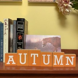 Orange and White wooden autumn sign